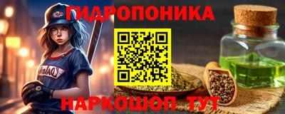 стафф Моздок