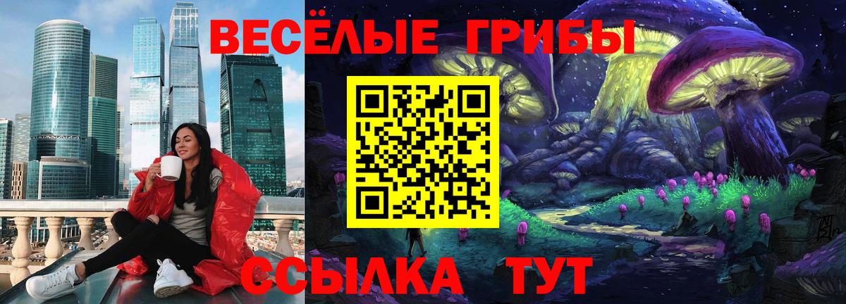 Псилоцибиновые грибы прущие грибы Осинники