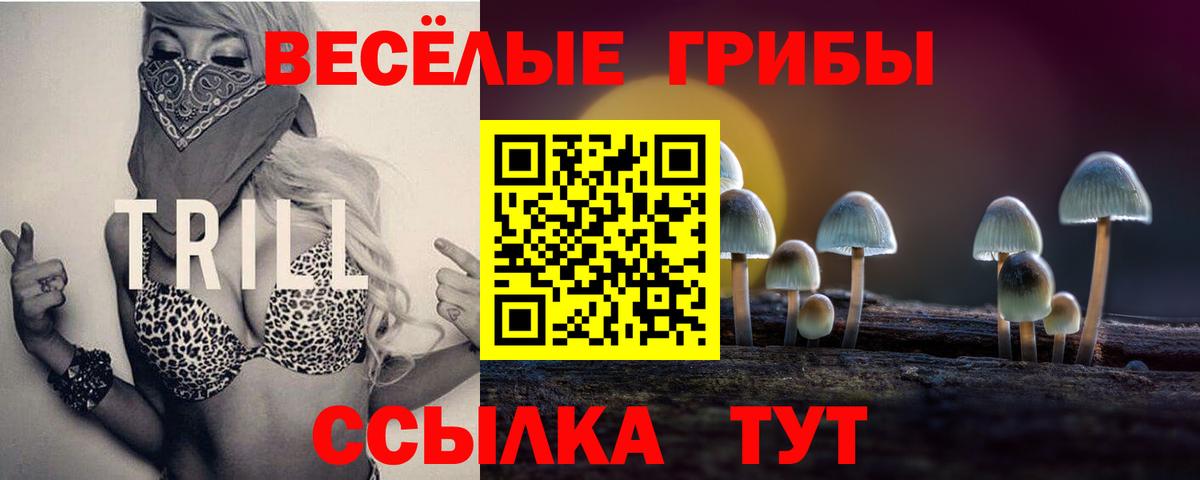 Псилоцибиновые грибы MAGIC MUSHROOMS  Вход с VPN  купить наркотик  Осинники 